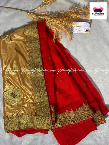 Shining shimmer saree