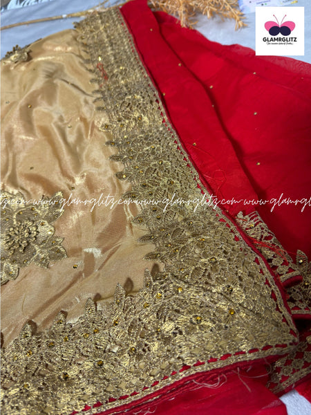 Shining shimmer saree