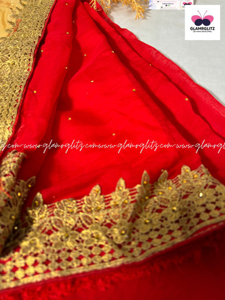 Shining shimmer saree