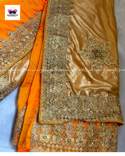 Shining shimmer saree