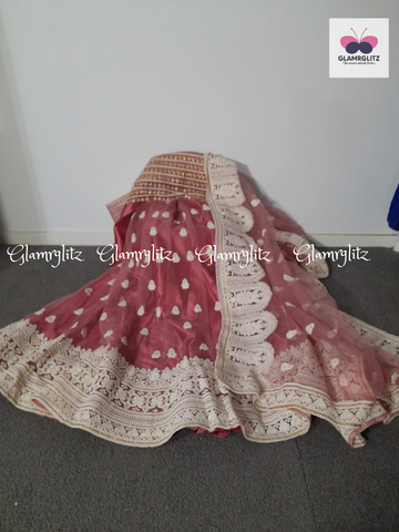 Net Lehenga with Embroidery